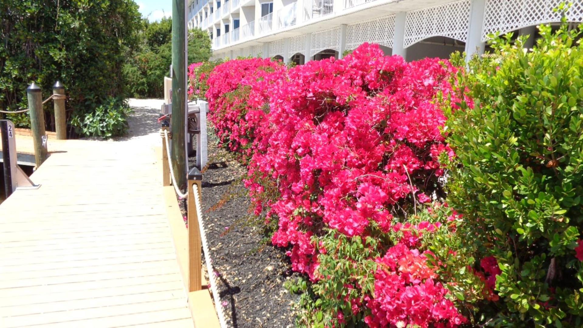 Ocean Oasis At Ocean Pointe Villa Tavernier Exterior photo